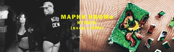 крисы Магас