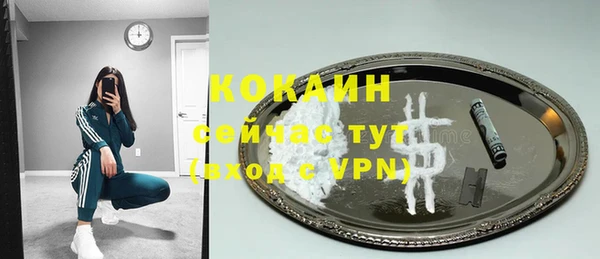 крисы Магас