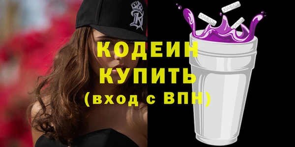гашик Анжеро-Судженск