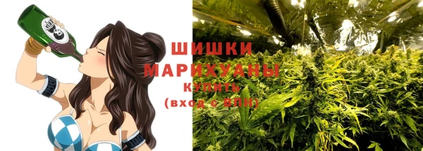 крисы Магас