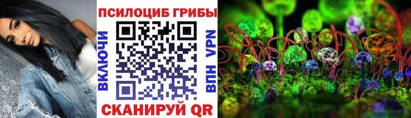 дарнет шоп Химки Галлюциногенные грибы Psilocybe