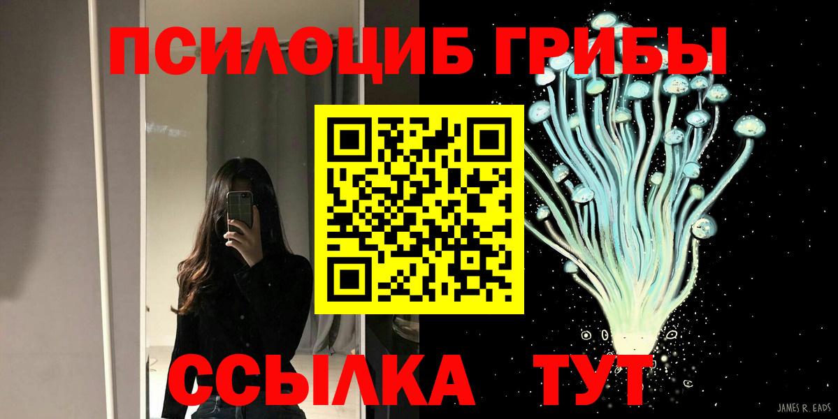Псилоцибиновые грибы мицелий Химки